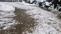 Trois biches sur une rivière gelée en crue
