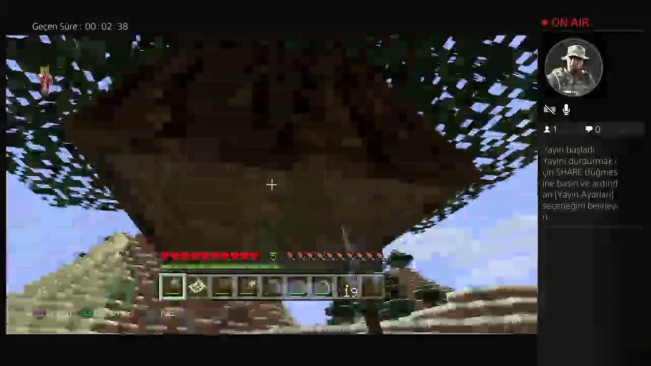 Minecraft (10)