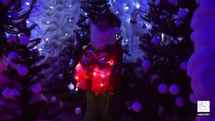 2016 - Aniane - La Crèche