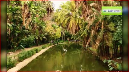 الجزائر حديقة الحامة -jardin d'essai alger