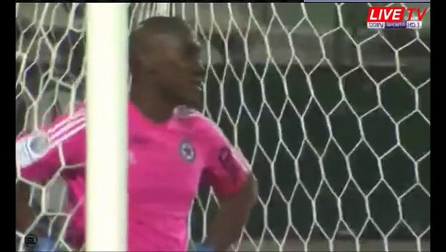 Red Star vs Strasbourg 1-1 All Goals & Highlights HD 17.02.2017