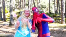Pink Spidergirl vs Spiderman Mummy in Real Life! Ft Frozen Elsa Giant Lollipop Fun Superhe
