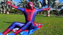 Spiderman & Frozen Elsa Fail Date Prank - Spiderdog kidnapped - Fun Superhero in Real