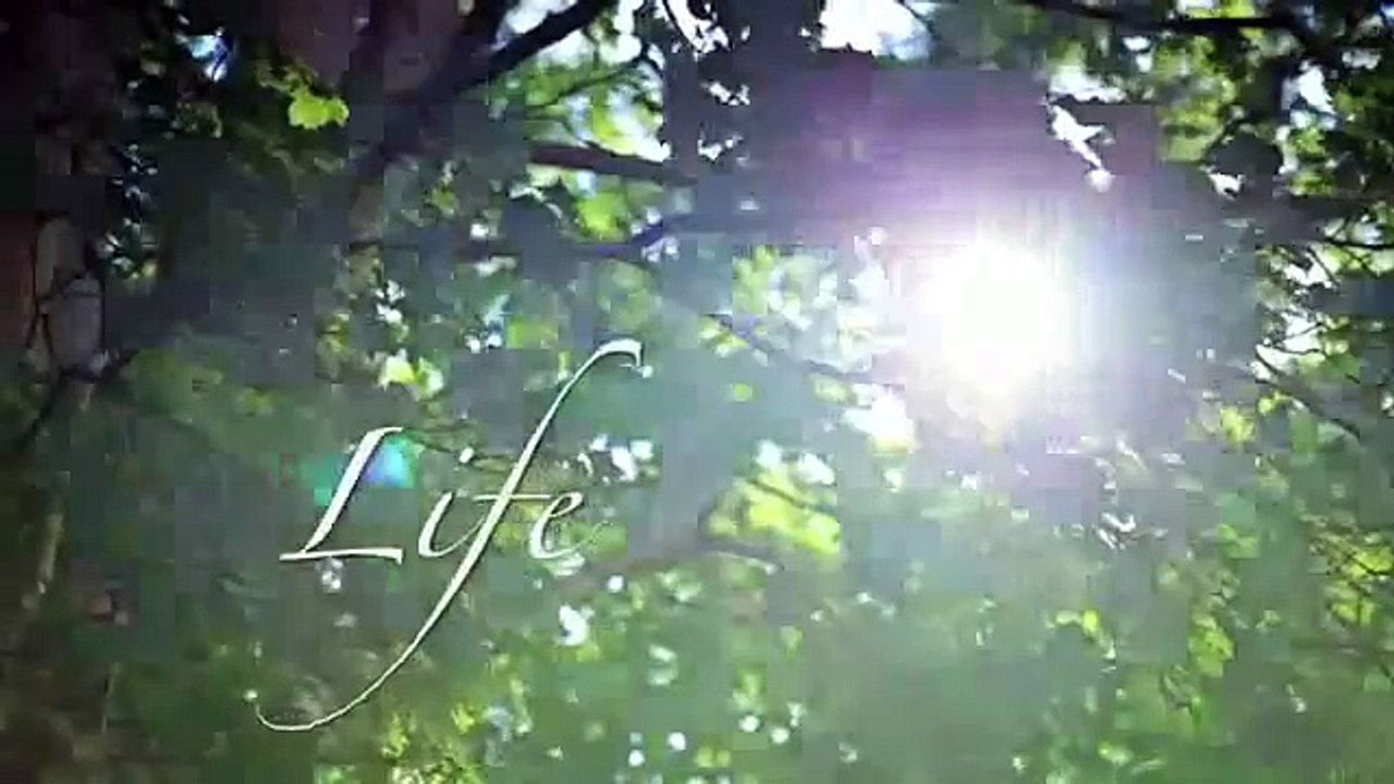 intro- channel trailer