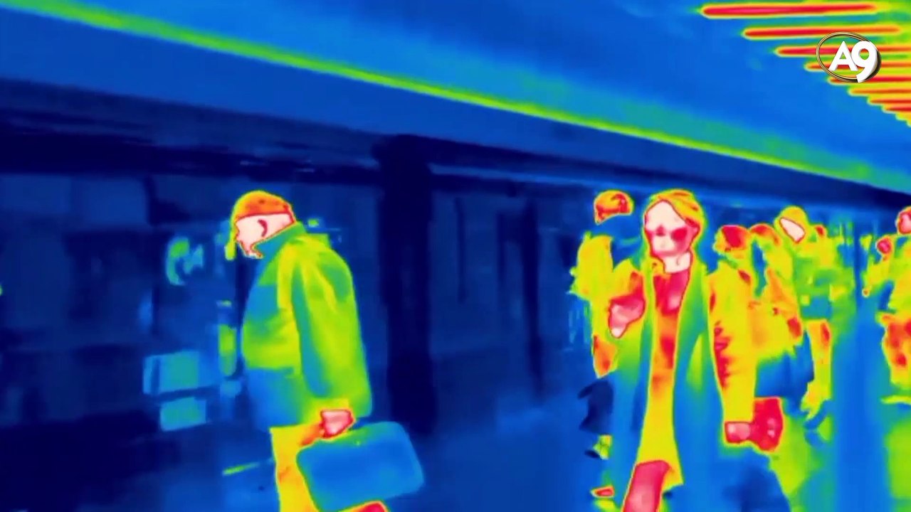 Kuranda Adı Geçen Canlılar