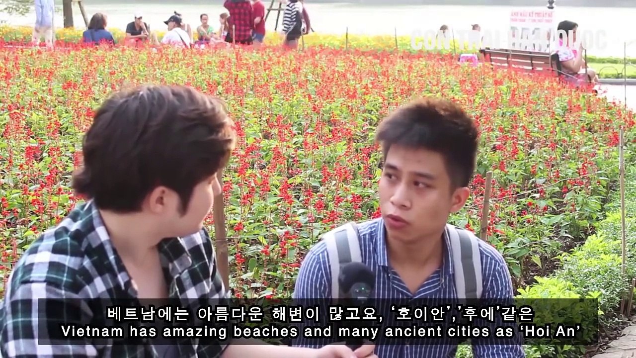 Tại sao người nước ngoài du lịch Việt Nam