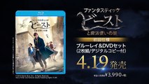 『ファンタスティック・ビーストと魔法使いの旅』4月19日ブルーレイ＆DVDリリース記念 特別予告映像-SsOSgkuHMCA