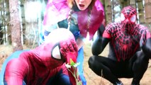 Congelados Elsa vs Maléfica! w/ Spiderman y Rosa Spidergirl, Joker, Catwoman y Caramelos de Goma de mascar :