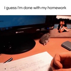 that's why I couldn't do my homework!!!