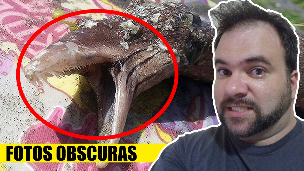 Criatura Pre Historica encontrada na Nova Zelandia
