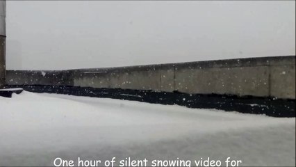 One hour of silent snowing video for relaxation and calming