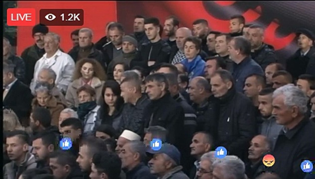 Sonila Meco gjate proteste