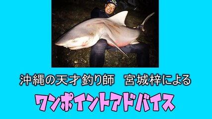 ワームに光を当てるだけで釣れやすさグーンとＵＰ↑-LYsJ3fcmYGY