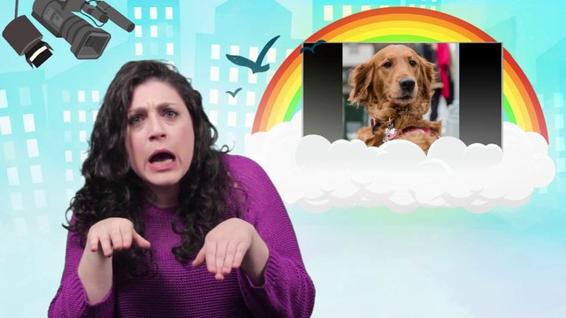 Good News: Dog Gives Free Hugs!