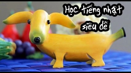 #3 Cách nhớ từ vựng siêu cấp - Từ vựng về động vật.