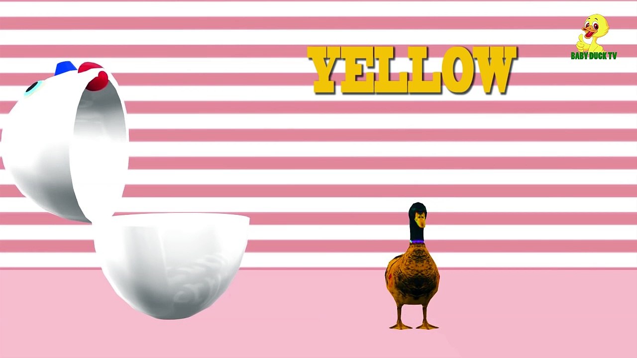 DuckDuck Kids TV Official