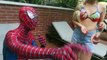 Spiderman Pool Party Pranks! Superheroes Fun Frozen Elsa Anna Venom Spiderman Swimming in Pool Cold