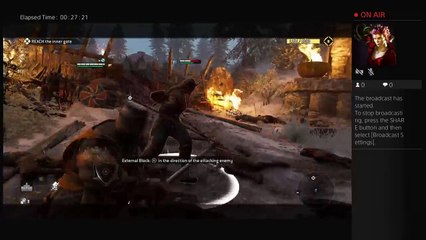 First time even playing on for honor (10)