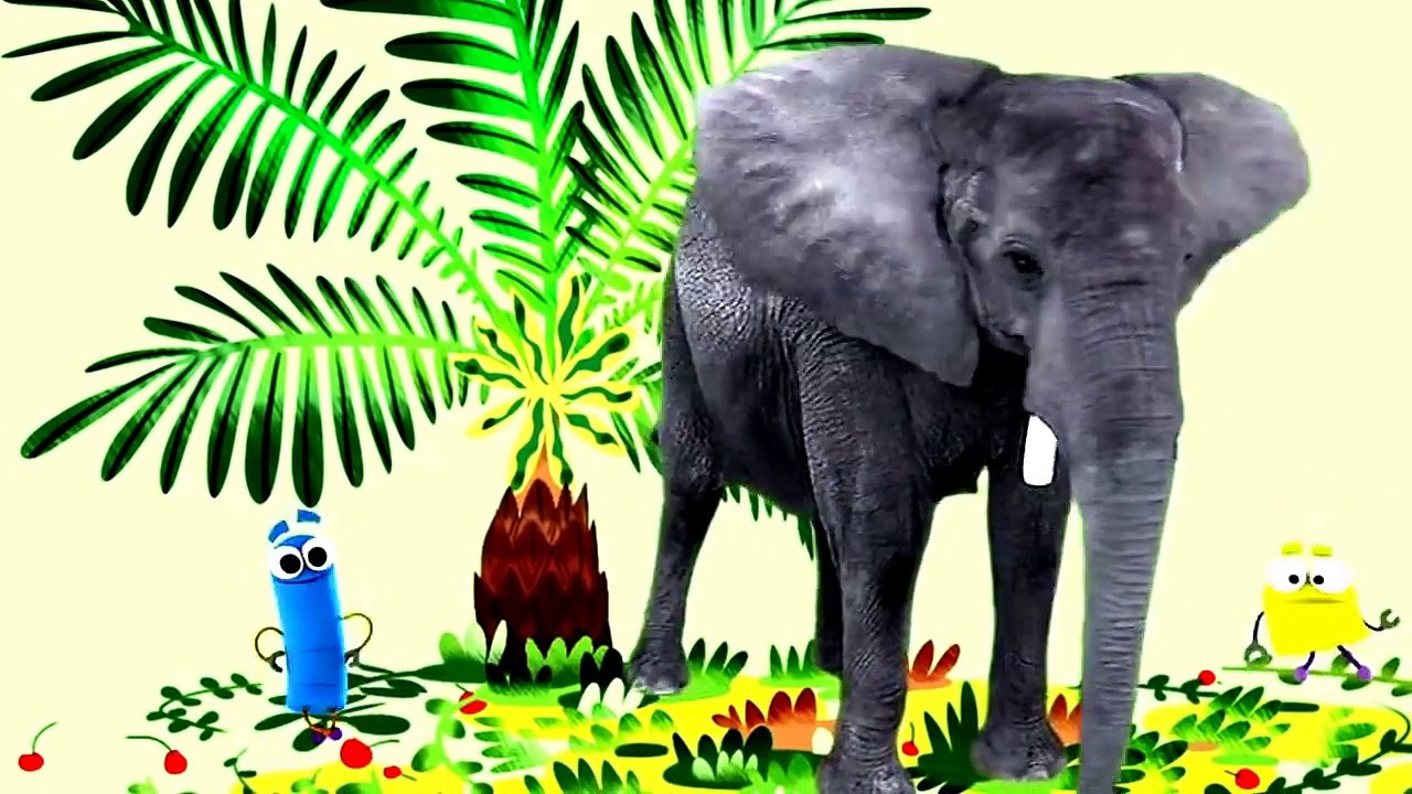 Animal Songs: Dance with the Elephant, by StoryBots