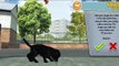 Best Mobile Kids Games - PS Vita Pets - Puppy Parlour - Playstation Mobile Inc