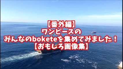 【ワンピースおもしろ画像】ワンピースのみんなのboketeを集めてみました！【ワンピースファンチャンネル】-e8KVti-6Auk