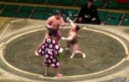 Sumo Wrestler Catches An Elbow Straight To The Chin And Get Knocked Out Cold