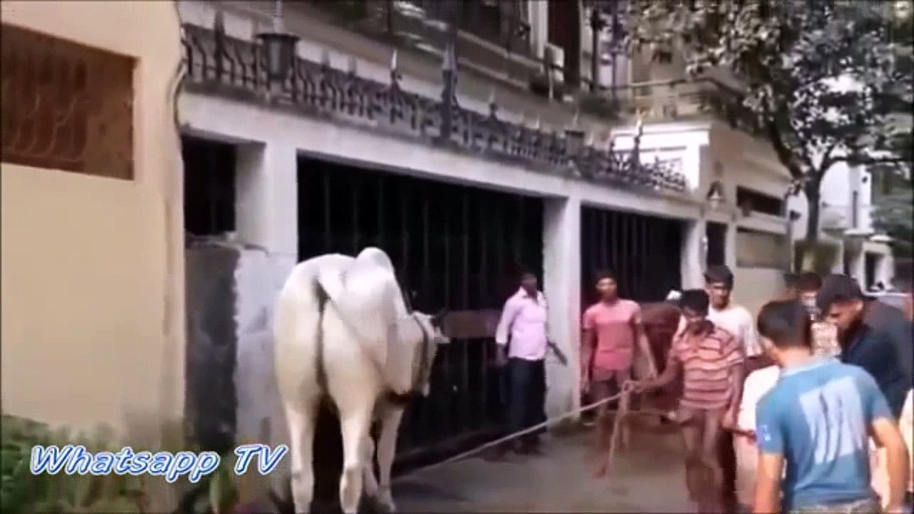 Hahaha, natawa talaga ako dito !  HAHAHA (y) (5 minutes)