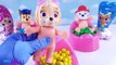 Learn Colors Skye Chase Marshall Paw Patrol Babies Candy Gumball Toilets Pretend Play Fun Video