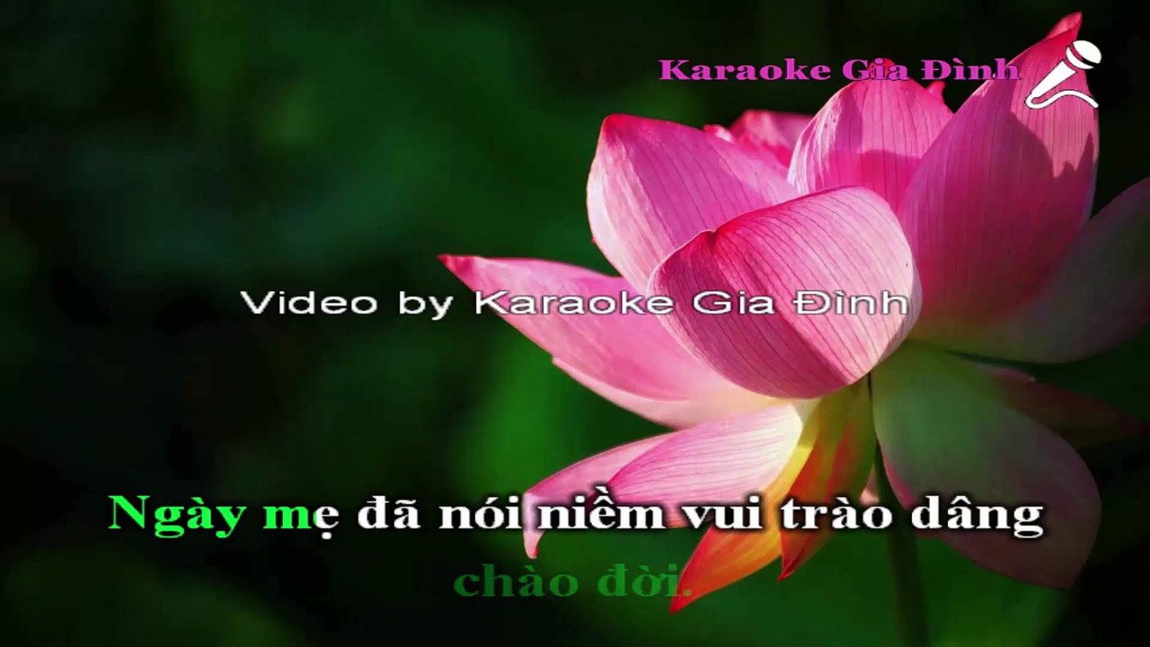 Nơi Ấy Con Tìm Về Karaoke - Tone Thấp (Hồ Quang Hiếu)