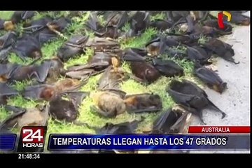 Mozambique: al menos 7 muertos tras el paso de ciclón 'Dineo'