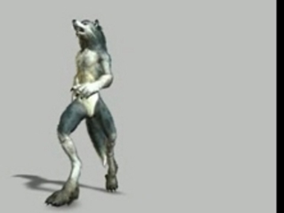 Loup