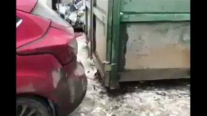 Mga bwiset na 'to. Di ko kinaya! HAHAHA 