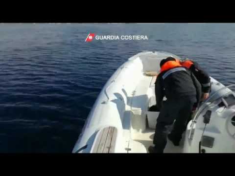 La Guardia Costiera sequestra 1000 ricci di mare a Porto Cesareo