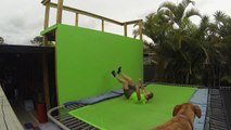 Un homme se fracture le tibia et le péroné en faisant du trampoline