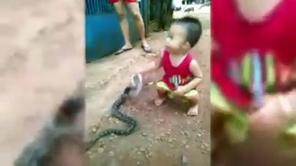 This child plays with a snake. What this does is creepy!