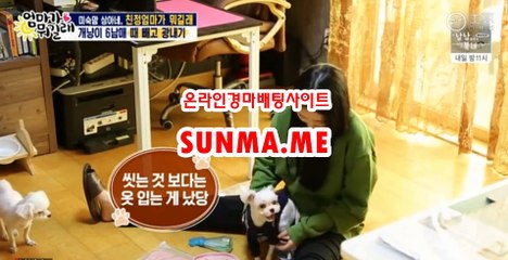 마권판매사이트 【 S U N M A . M E 】 온인경정