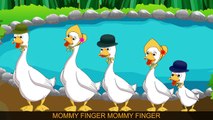 Five Little Monkeys Jumping on the Bed Finger Family | Finger Family Songs | Humpty Dumpty