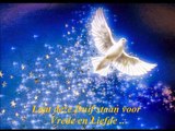 Wings of a Dove   Vlinder Erna ♥-7vS4-Ra0Ym0-HD