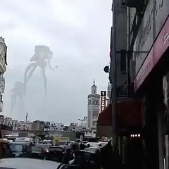 Découverte des Créatures Tunisiennes 🐾