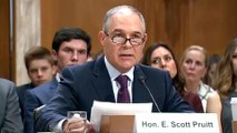 US: All eyes on new environment chief Pruitt