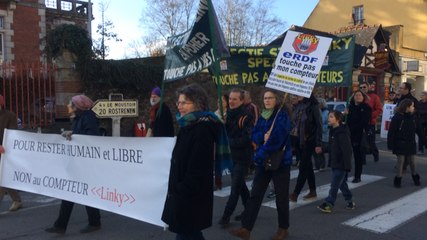 Les compteurs Linky mobilisent une centaine de manifestants