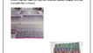 Buy Oriental and Persian Rugs Online at Oriental Designer Rugs at Atlanta