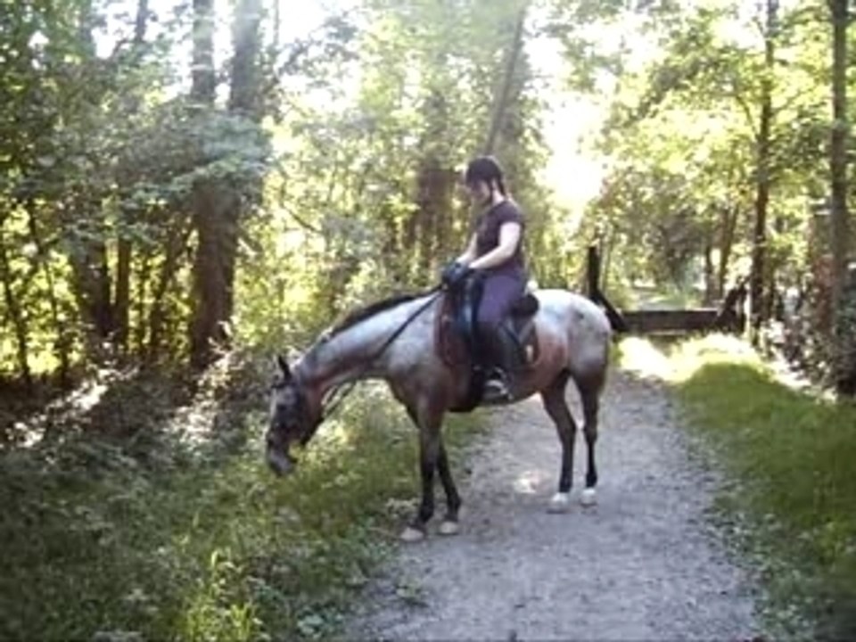 16_sept_2007