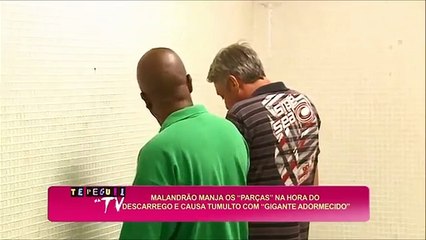 Pegadinha  Te Peguei GIGANTE AFRICANO