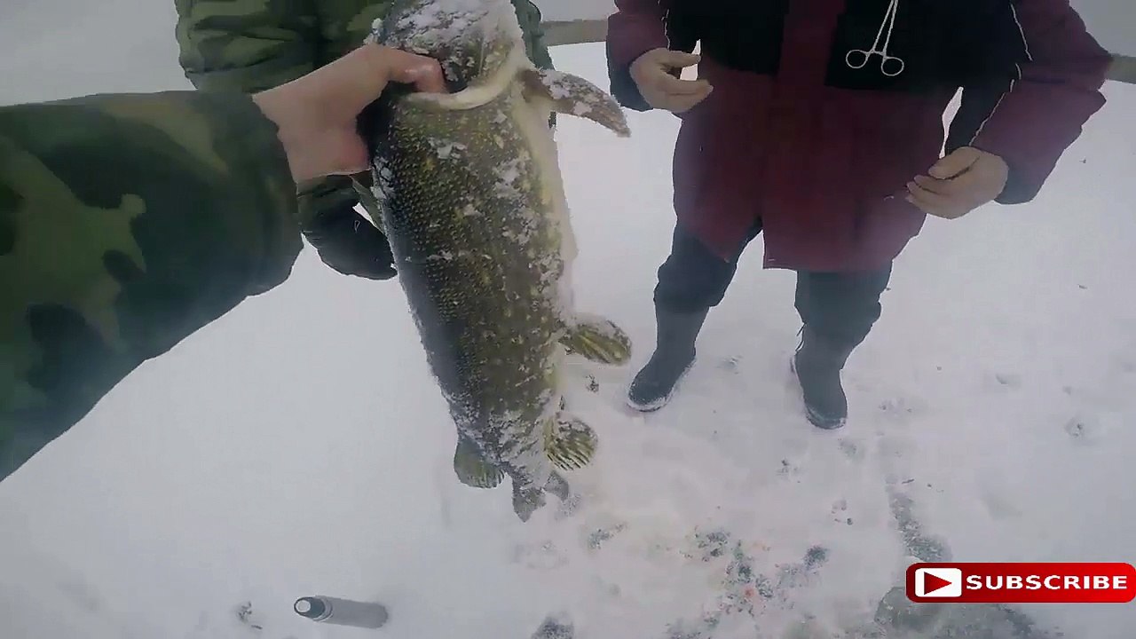 Ice Fishing Videos