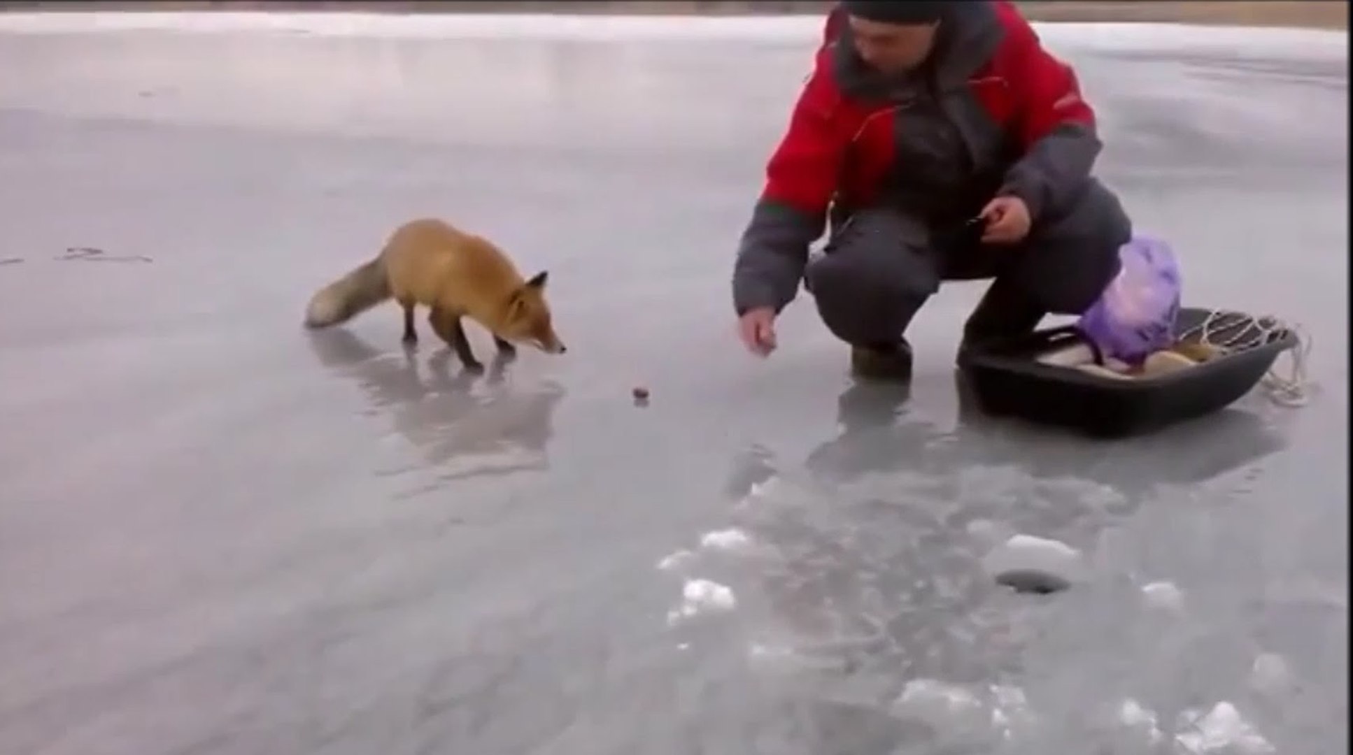 ⁣ONLINE FISHING VIDOES: ICE FISHING TIPS #1