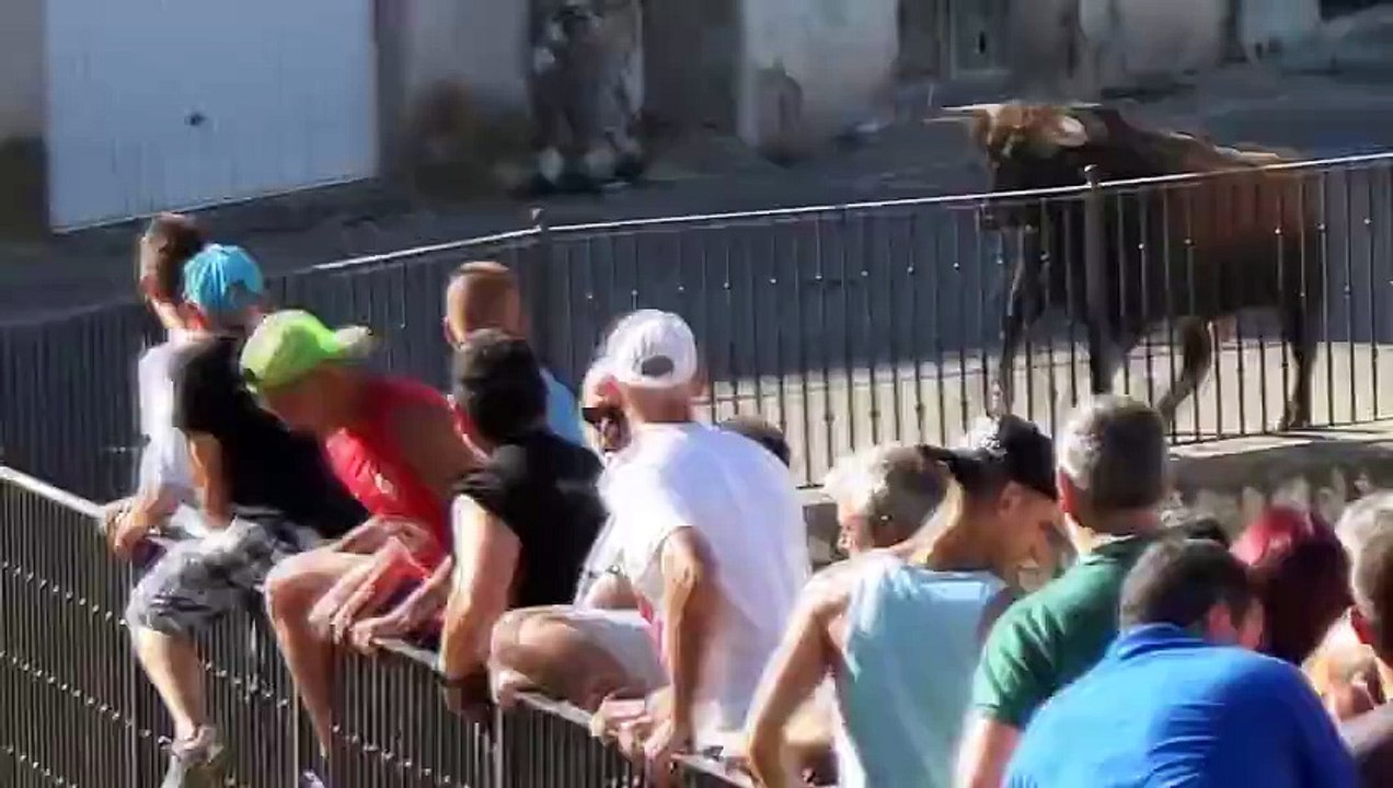 Ce taureau encorne un 4x4 de touristes en pleine rue... Flippant