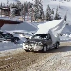 Quand tu remmènes de la glace pour ta soirée Mojito!!!!