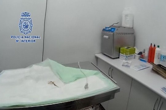 Detenido veterinario por realizar operaciones innecesarias