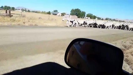 La France pendant 40 années.  40 c'est le chiffre du changement.